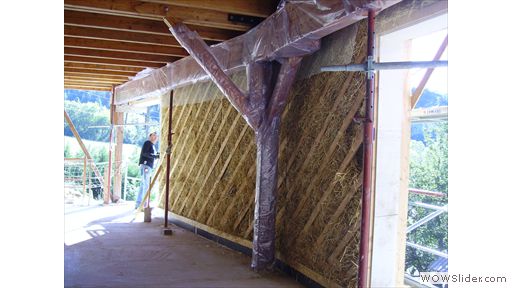 BAT EX GABION (6)